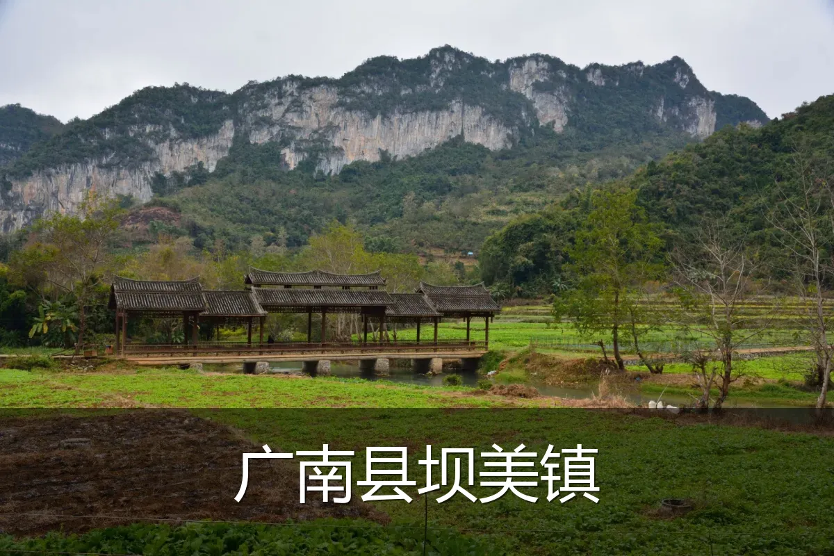 广南县坝美镇