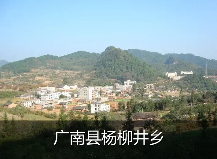 广南县杨柳井乡